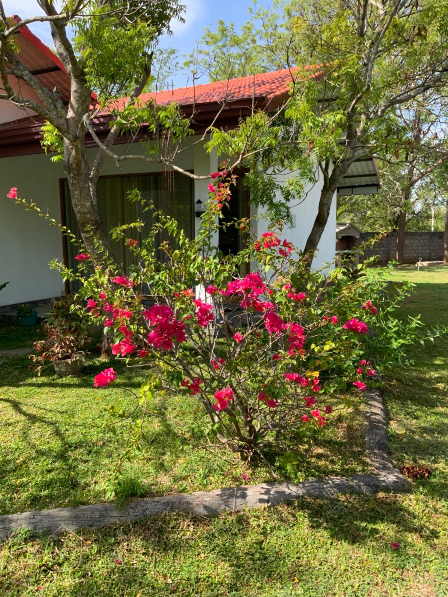 Nature Resort Полонарува Екстериор снимка